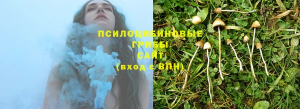 прущая мука Алзамай
